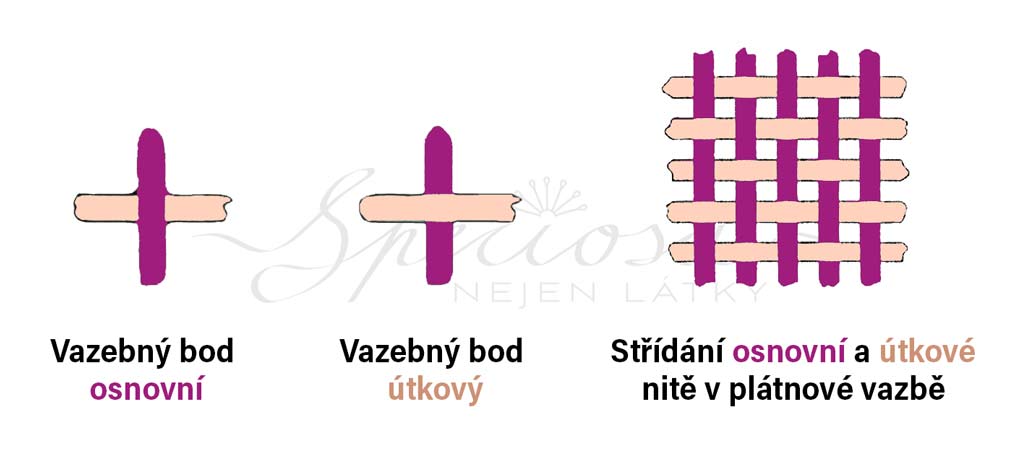 vazebni-bod-barevne-Speciosa-v2